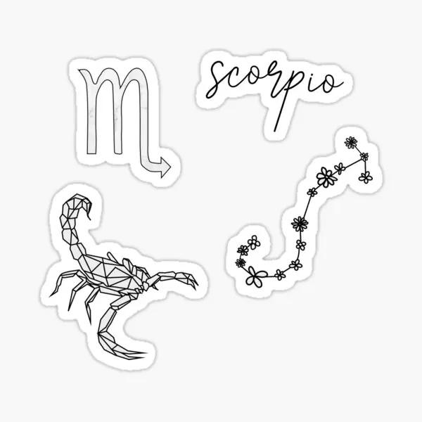 Scorpio  ڵ ƼĿ,  Ʈ   , Ʈ Ȩ  ƼĿ, Ʈ  , 5 